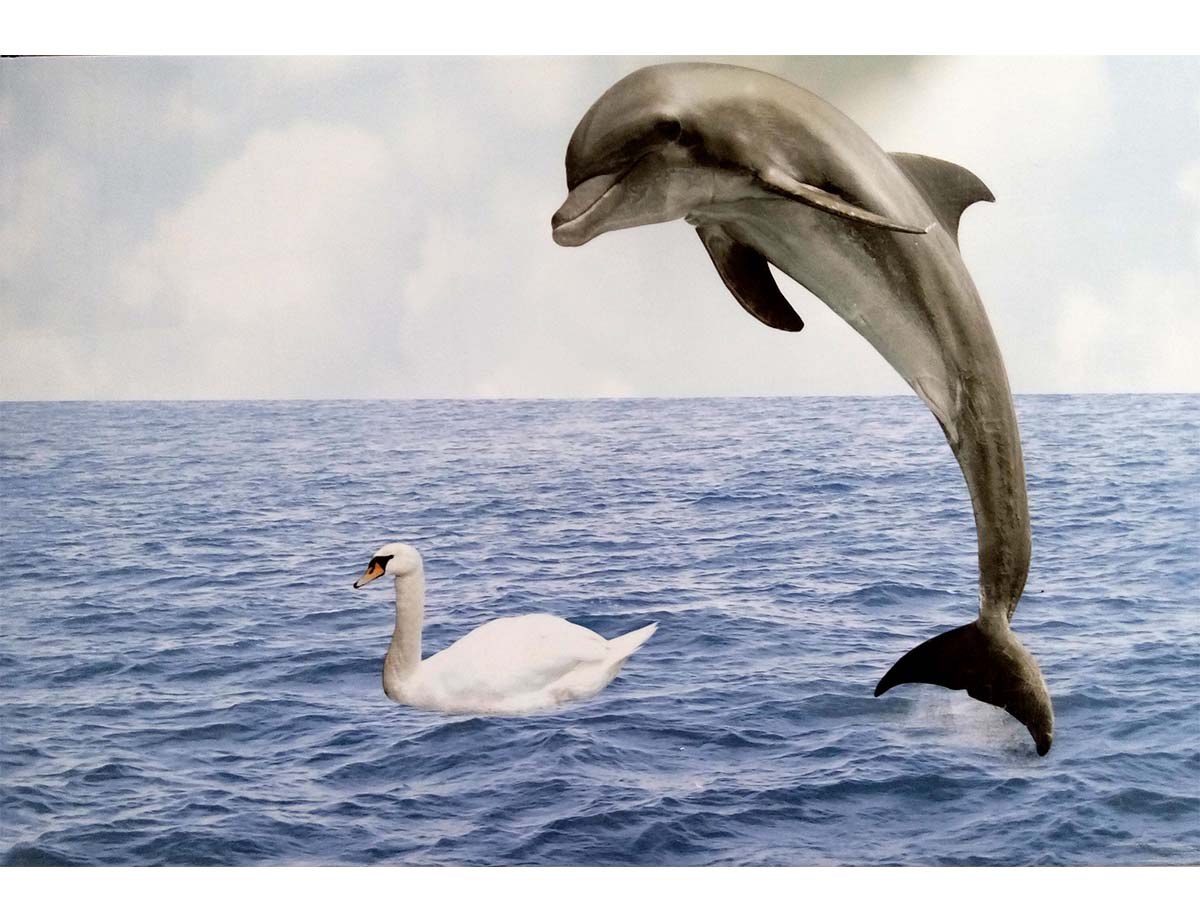 Carreaux 30*45 3334HL