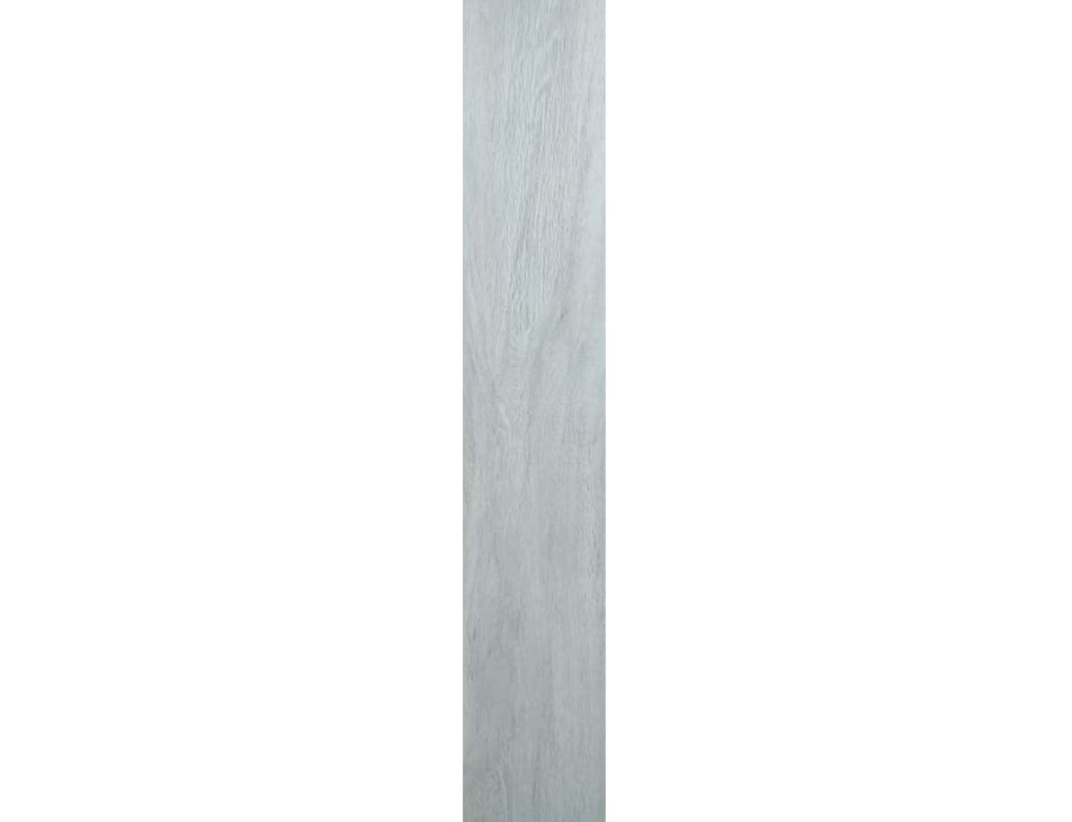 Carreaux 20X100 5017