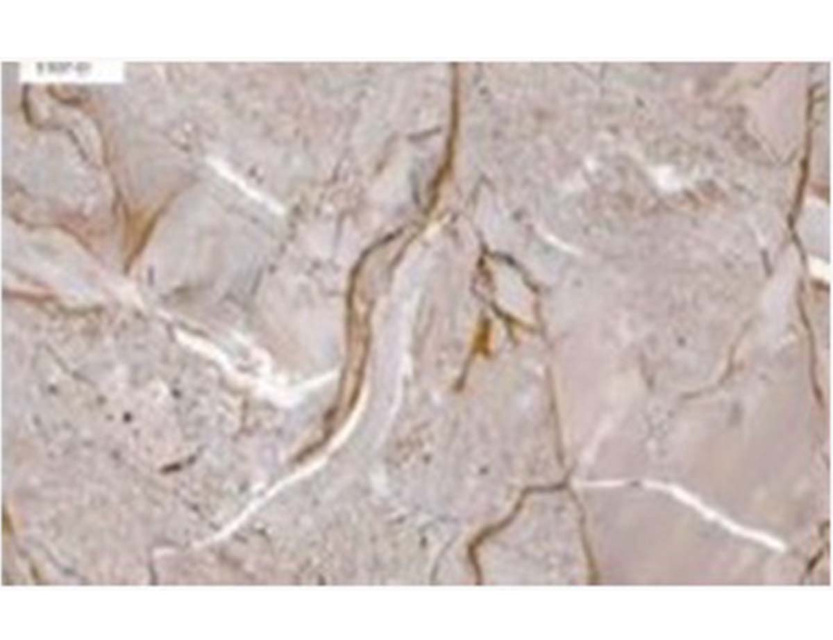 Carreaux 20X30 5107D