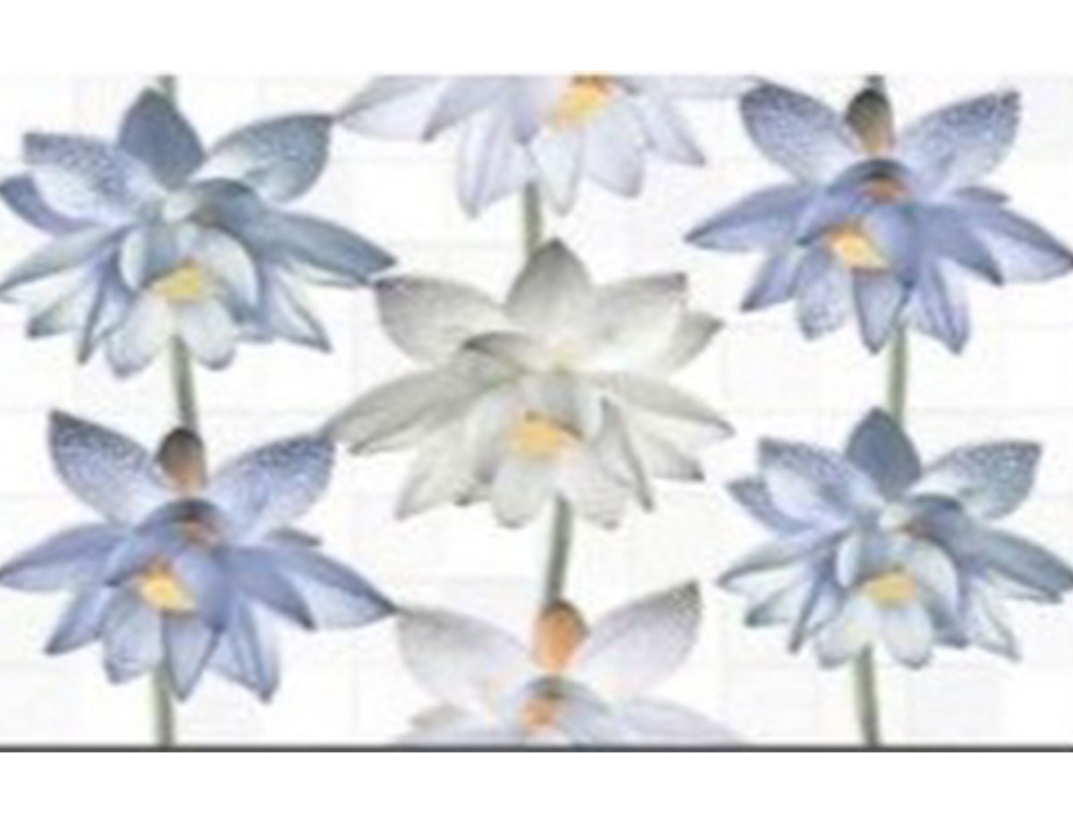 CARREAUX 20×30 3039HL