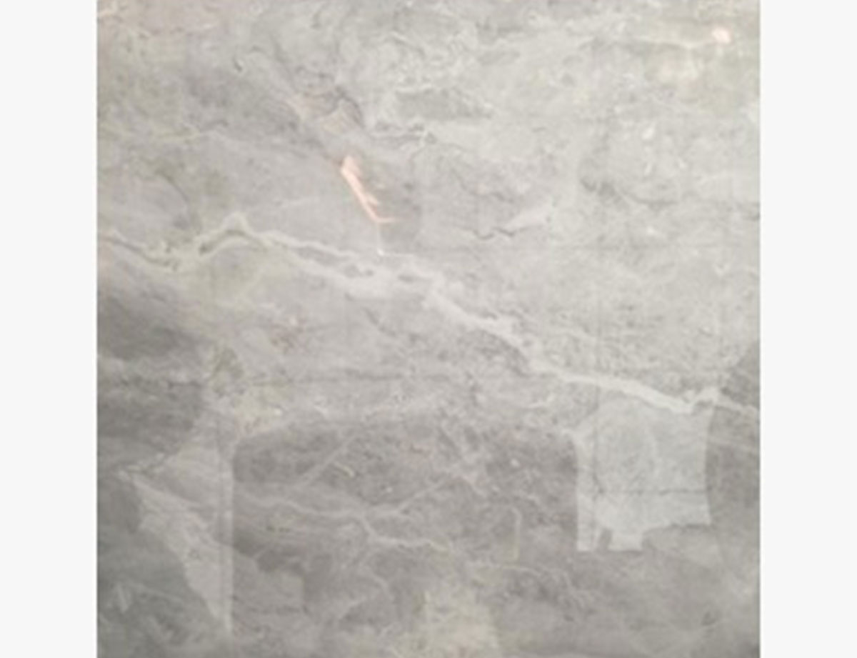 Carreaux 60×60 Selvia silver